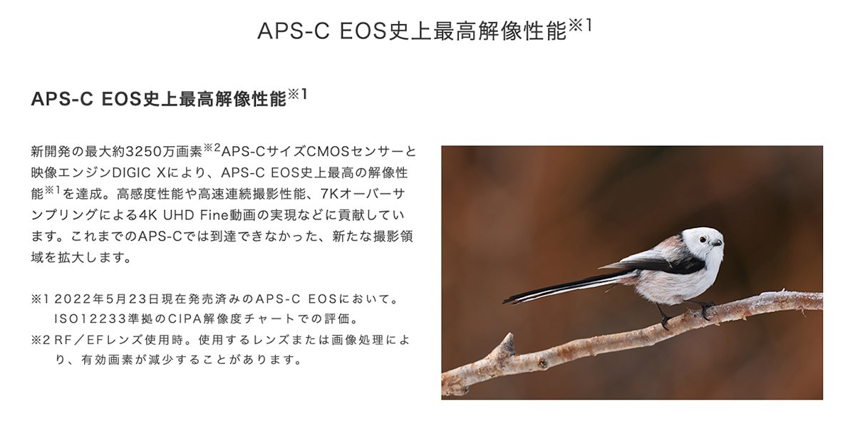 EOS R7の画像。