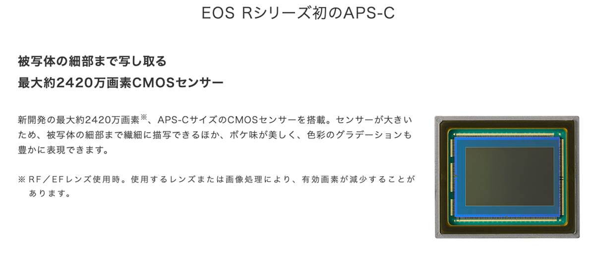 EOS R10のスペック画像。