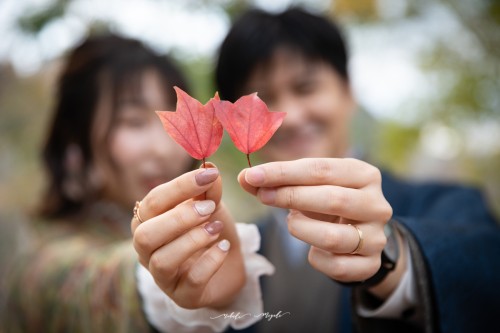 着物を着たカップル写真。紅葉を持っている。